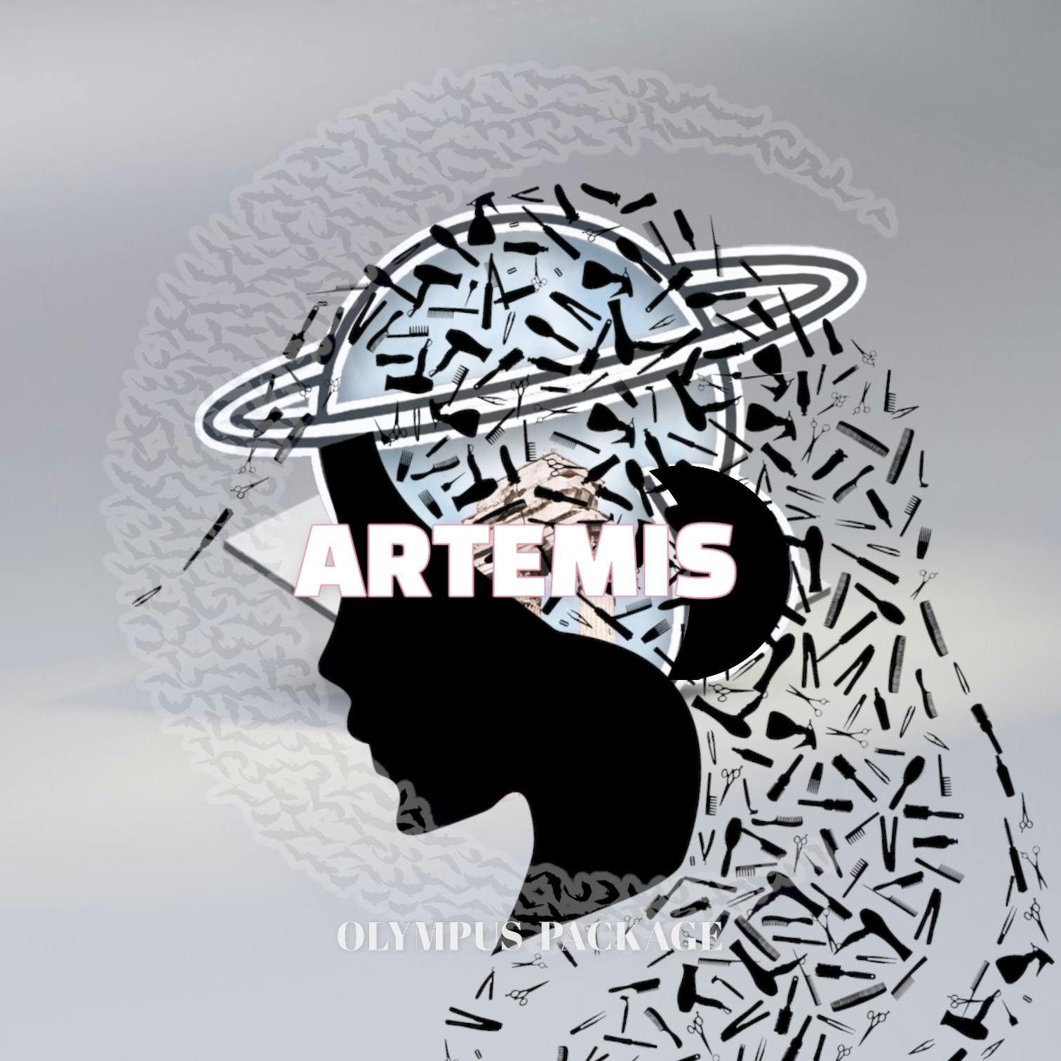 OLYMPUS - ARTEMIS Edition